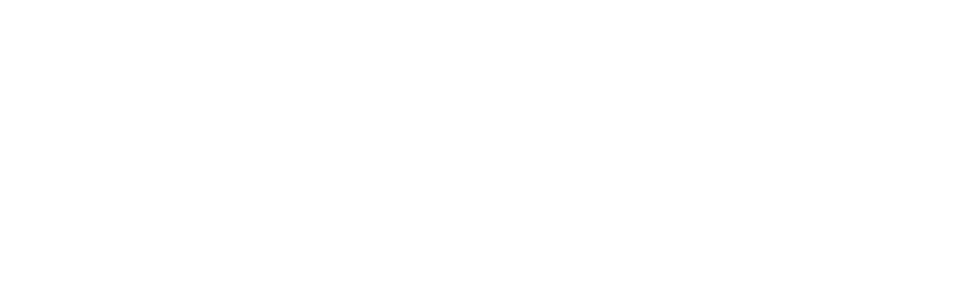 VIP TV